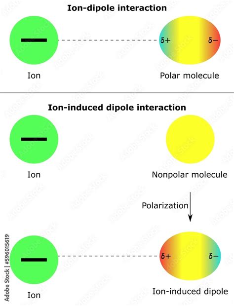 intermolecular forces ion dipole interaction ion induced nonpolar ...