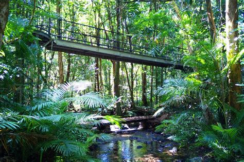 Discover Beyond | Activity | Cape Tribulation, Mossman…