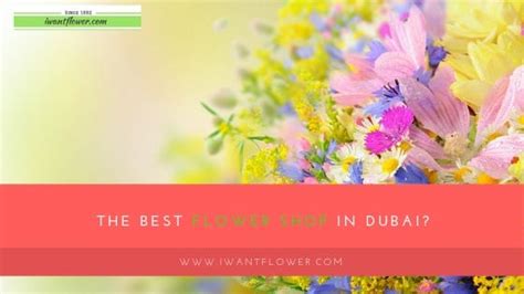 Which is the best flower shop in Dubai? | by RoshAni Patel | Medium