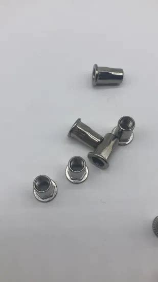 Rivet Nut M6 SS304 Half Hex External Hex Internal Hex - Rivet Nut and Nut