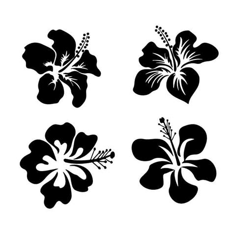 Free 190 Tropical Flower Svg Free SVG PNG EPS DXF File