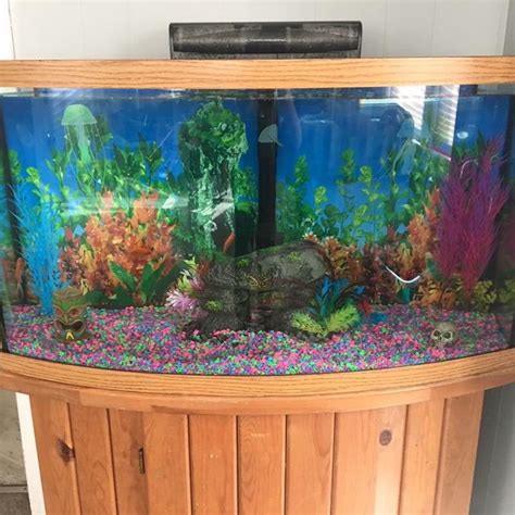 75 Gallon fish tank with everything in it for sale in Absecon, NJ - 5miles: Buy and Sell