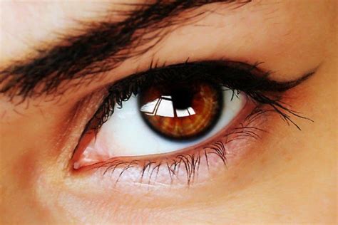 What Does Your Eye Color Say about You? - nJoy Vision