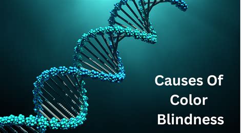 Causes And Treatments For Color Blindness by Color