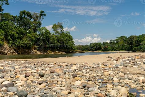 River in the Amazon Basin 4464479 Stock Photo at Vecteezy