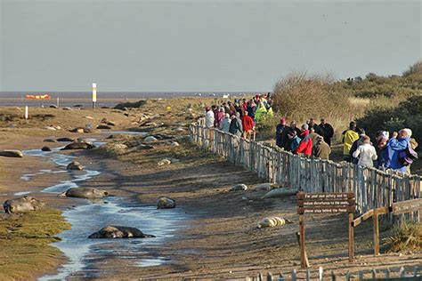 Donna Nook, Lincolnshire