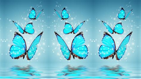 Cute Aesthetic Butterfly Wallpapers - Wallpaper Cave