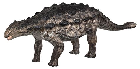 Ankylosaurus Facts, Habitat, Diet, Fossils, Pictures