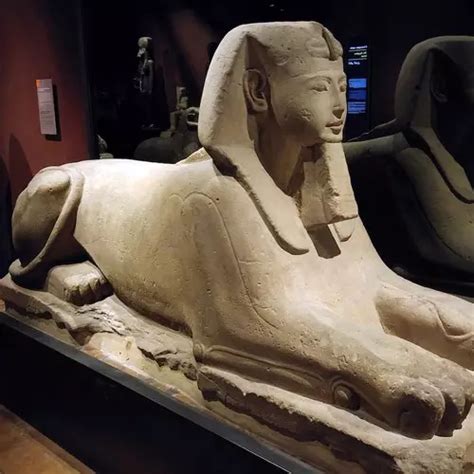 Egyptian Museum of Turin: Skip-The-Line Guided Tour - Turin | Hurb