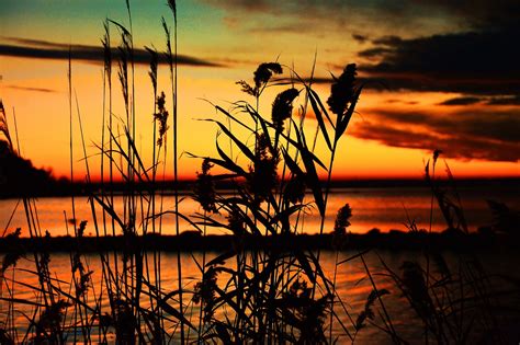 Lake Balaton Sunset - Free photo on Pixabay - Pixabay