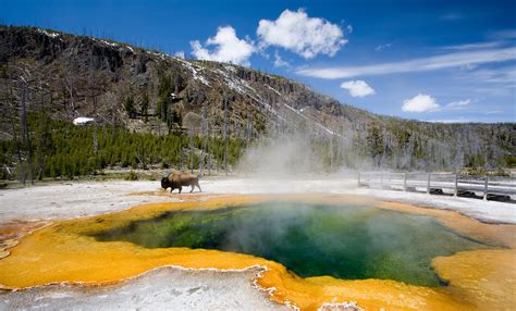 Yellowstone National Park Driving Tour App | GyPSy Guide