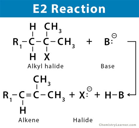 E2 Reaction Mechanism