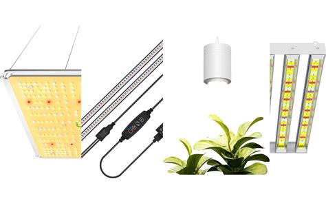 The best LED grow lights for 2024 | Popular Science