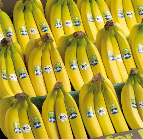 fyffes-bananas - Probeleggen