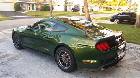 New member | Ford Mustang Ecoboost Forum