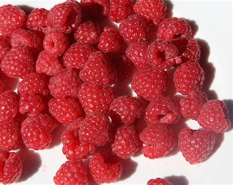 Buy raspberry Glen Ample - summer fruiting raspberry 'Glen Ample (PBR)': Delivery by Crocus