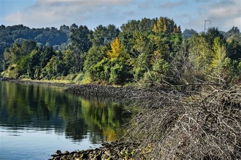 Duwamish River Trail photo spot, Seattle