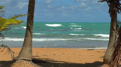 Luquillo beach, Puerto Rico - YouTube