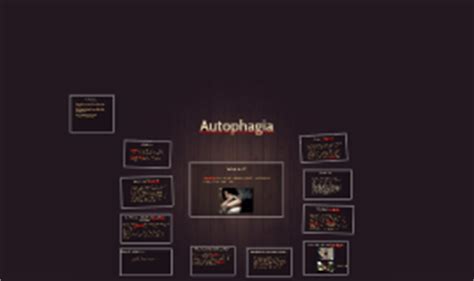 Autophagia by Madison Allen on Prezi