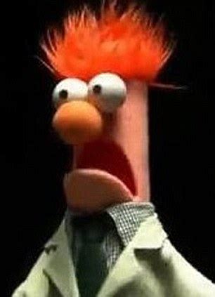 Stuart Hogg looks like Beaker the Muppet | Daily Mail Online