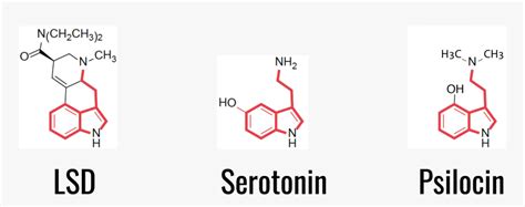 Chemical Structure Of Serotonin, Lsd And Psilocin - Молекула Лсд И Серотонина, HD Png Download ...