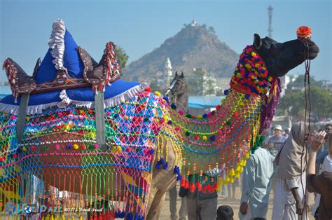 50 Colorful Photos From The Pushkar Camel Fair | The HoliDaze