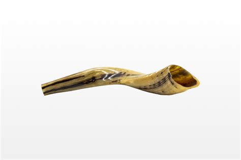 Ram's Horn Shofar - Israel Cart