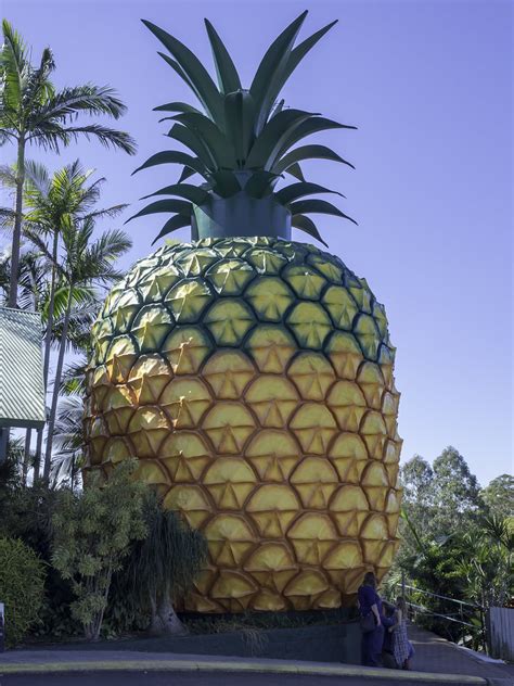 The Big Pineapple - heritage listed tourist attraction nea… | Flickr