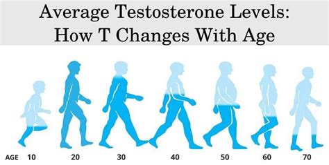 Normal Testosterone Levels by Age | Male and Female Charts | HFS Clinic ...