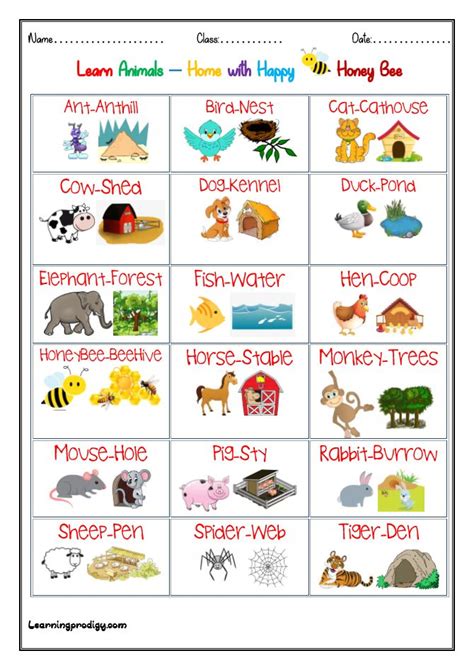 Animals and their Home |Habitat Chart for Preschoolers ...