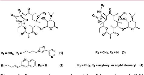 Figure 1 from Synthesis and Structure − Activity Relationships of α ‐ Amino-γ-lactone Ketolides ...