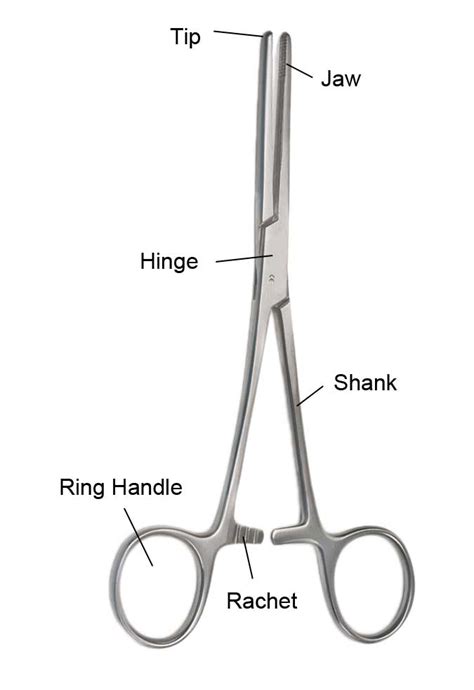 Surgical Forceps Types