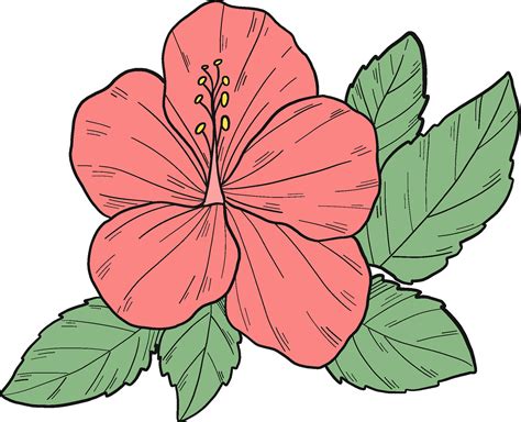 Pink Hibiscus Flower Clipart