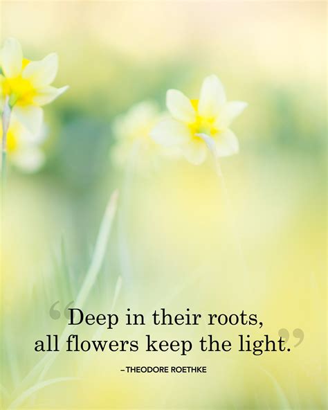 some yellow and white flowers with a quote on the bottom saying deep in their roots, all flowers ...