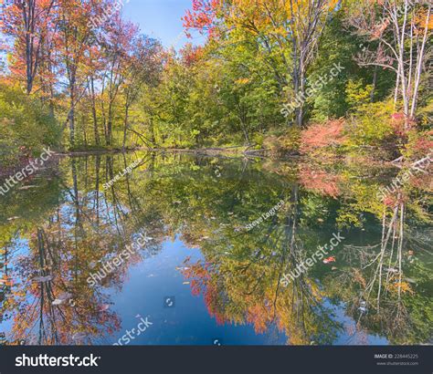 44 Stony Creek Metropark Images, Stock Photos & Vectors | Shutterstock