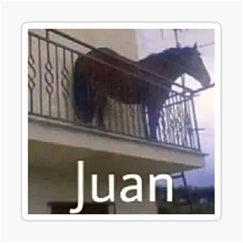 "Juan El Caballo Meme Funny " Sticker for Sale by nattdrws | Redbubble