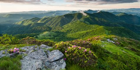 Roan Mountain Hiking Trail (Appalachian Trail) | The Adventure Collective