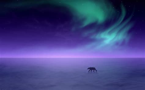 Free download aurora borealis Alaska snow landscapes polar bears wallpaper [1920x1200] for your ...