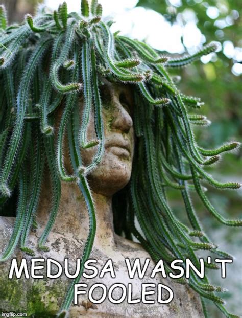 Medusa Wasn't Fooled - Imgflip