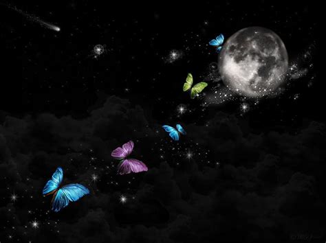 •ღ ღ•, art, fantasy, moon, butterfly, HD wallpaper | Peakpx