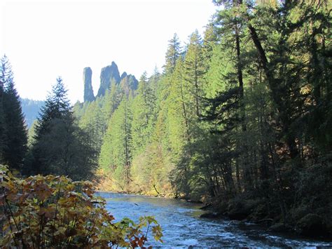 The Scenic & Wild North Umpqua River "Oregon's Best kept Secret" - North Umpqua Outfitters