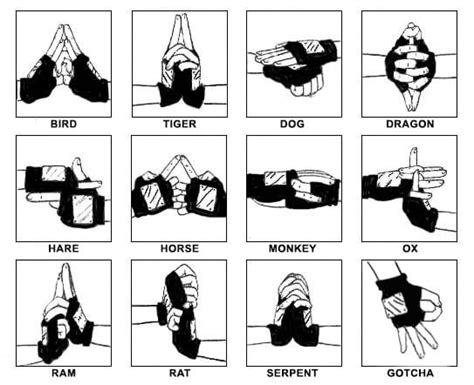 Image result for naruto hand signs | Naruto hand signs, Naruto, Anime naruto