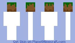 Grass Block Minecraft Skin