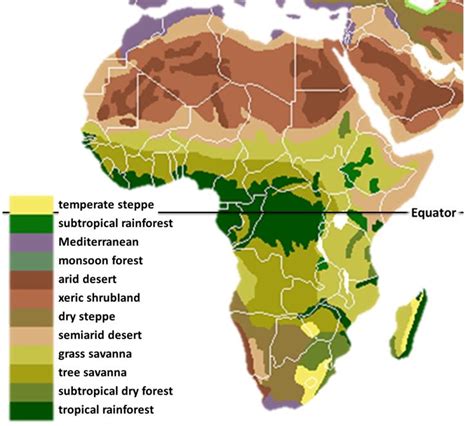 recuperar Cruel Manía mapa climatico de africa Intuición Delicioso pestaña