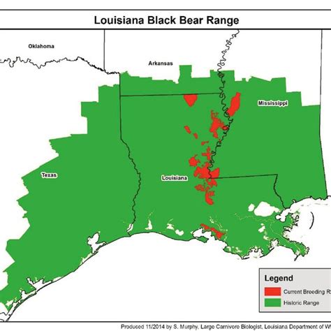 1. The historic range of the Louisiana black bear ( Ursus americanus ...