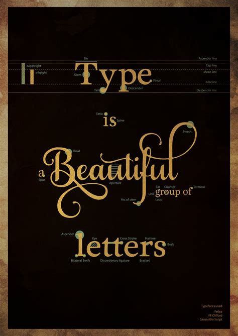 Typography Anatomy Poster | Freelancer