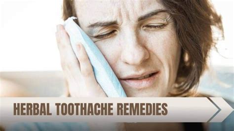 10 Powerful Herbal Toothache Remedies » 2024