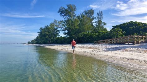 Robb's Wednesday Morning Beach Walk in North Naples, FL 07.31.19 - YouTube