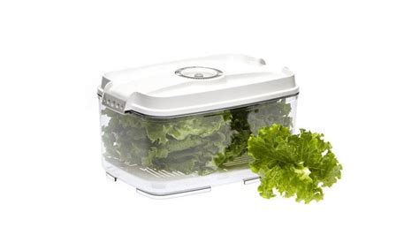 You Can Easily Store Your Food In Vacuum Sealed Containers - simon and sting tour