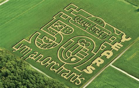 Lyman Orchards’ Sunflower Maze Celebrates 50 Years of Sesame Street | Lyman Orchards